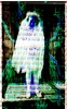 Communion fly copy